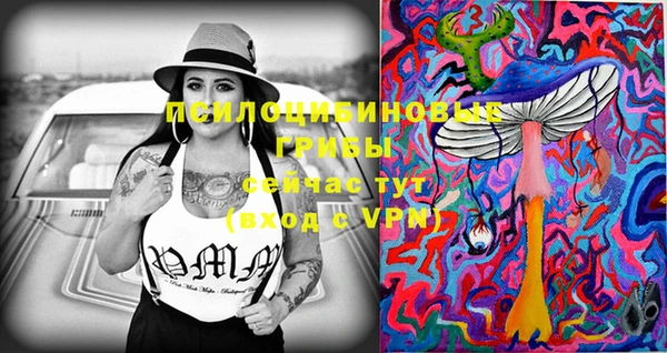 MDMA Premium VHQ Краснослободск