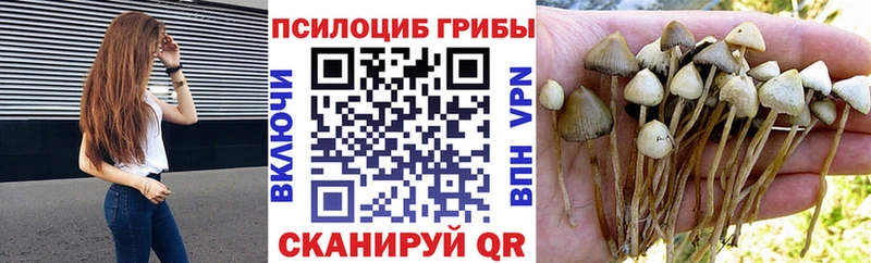 Галлюциногенные грибы Magic Shrooms  Нарткала 